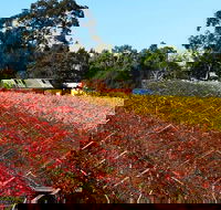 Swan Valley Wine Time Private Day Tour - Restaurant Gold Coast