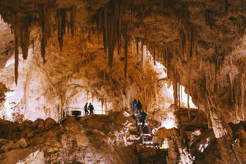 Mammoth Cave Self-guided Audio Tour - Restaurant Gold Coast 0