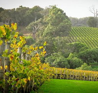 Half-Day Swan Valley  Wildlife Park Tour - Restaurant Gold Coast