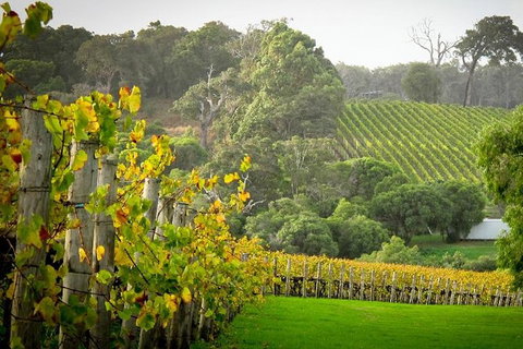 Half-Day Swan Valley & Wildlife Park Tour - Restaurant Gold Coast 0
