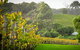 Half-Day Swan Valley & Wildlife Park Tour - thumb 2