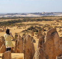 Full-Day Pinnacles Sandboarding and Yanchep National Park from Perth - Restaurant Gold Coast