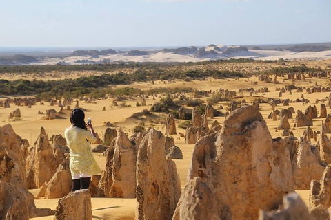 Full-Day Pinnacles Sandboarding And Yanchep National Park From Perth - Restaurant Gold Coast 0
