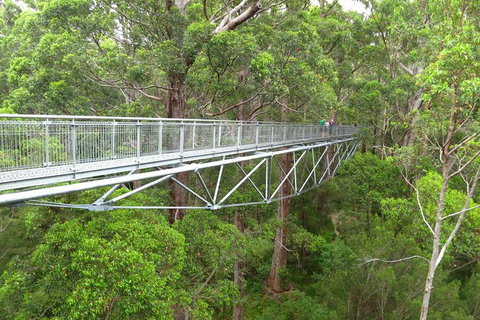 Albany Southwest Wilderness Day Tour - Fly From Perth - Restaurant Gold Coast 2
