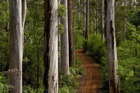 Albany Southwest Wilderness Day Tour - Fly From Perth - Restaurant Gold Coast 6