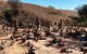 The Big Wave Rock (Private) Day Tour - thumb 8