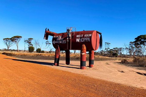 The Big Wave Rock (Private) Day Tour - Restaurant Gold Coast 12