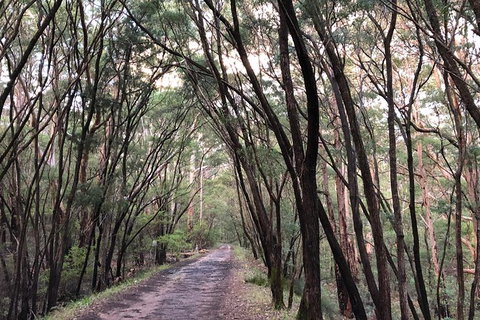 3d/2n Themed Camping Getaway - Private Campgrounds And National Parks - Restaurant Gold Coast 9