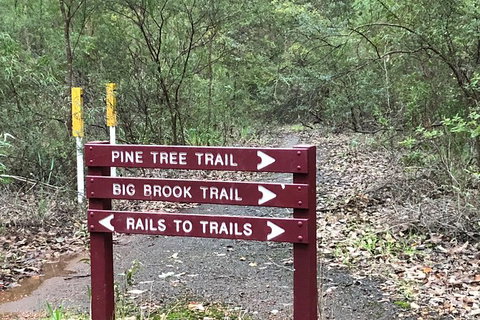3d/2n Themed Camping Getaway - Private Campgrounds And National Parks - Restaurant Gold Coast 17