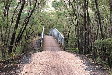 3d/2n Themed Camping Getaway - Private Campgrounds And National Parks - Restaurant Gold Coast 15