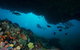 Rottnest Island Scuba Diving From Fremantle - thumb 0