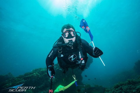 Rottnest Island Scuba Diving From Fremantle - Restaurant Gold Coast 1