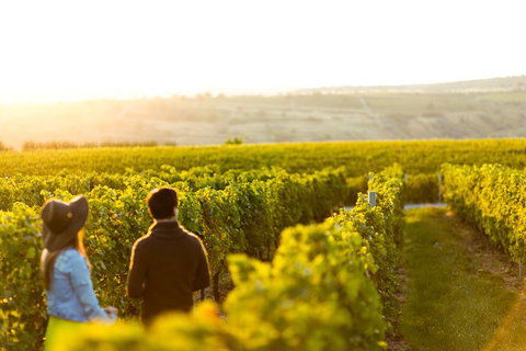Margaret River Private Tour - Restaurant Gold Coast 2