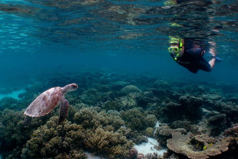 3 Night Ningaloo Reef Snorkel And Dive Getaway From Coral Bay - Restaurant Gold Coast 0