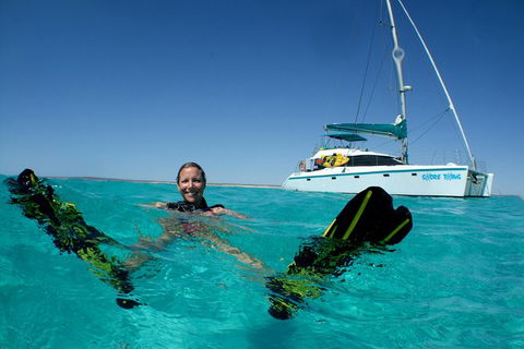3 Night Ningaloo Reef Snorkel And Dive Getaway From Coral Bay - Restaurant Gold Coast 1