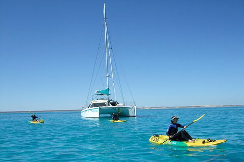 3 Night Ningaloo Reef Snorkel And Dive Getaway From Coral Bay - Restaurant Gold Coast 7