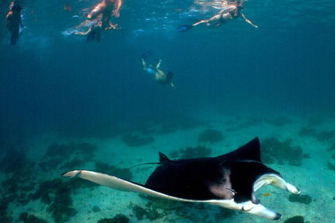 3 Night Ningaloo Reef Snorkel And Dive Getaway From Coral Bay - Restaurant Gold Coast 6
