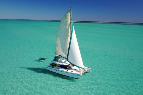 3 Night Ningaloo Reef Snorkel And Dive Getaway From Coral Bay - Restaurant Gold Coast 4