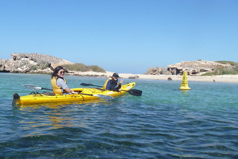 Seal Island And Penguin Island Or Point Peron Sea Kayak Tour - Restaurant Gold Coast 3
