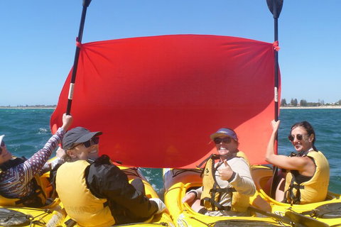 Seal Island And Penguin Island Or Point Peron Sea Kayak Tour - Restaurant Gold Coast 2
