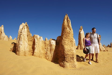 4-Day Coastal Loop Via Monkey Mia Wild Dolphins Kalbarri Pinnacles Perth Return - Restaurant Gold Coast 4