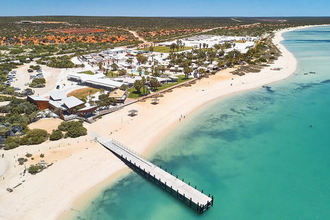 4-Day Coastal Loop Via Monkey Mia Wild Dolphins Kalbarri Pinnacles Perth Return - Restaurant Gold Coast 10