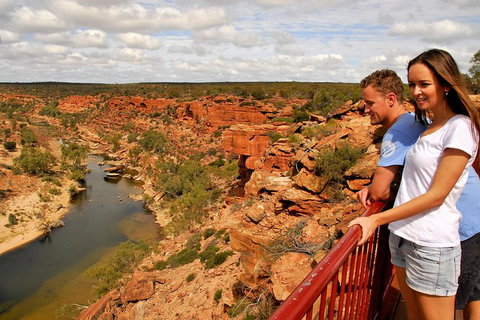 4-Day Coastal Loop Via Monkey Mia Wild Dolphins Kalbarri Pinnacles Perth Return - Restaurant Gold Coast 11