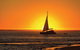 6-Day Coral Coaster From Perth To Exmouth One-Way Via Monkey Mia Ningaloo Reef - thumb 0