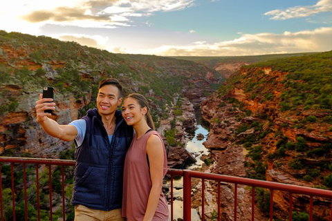 6-Day Coral Coaster From Perth To Exmouth One-Way Via Monkey Mia Ningaloo Reef - Restaurant Gold Coast 8