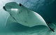 6-Day Coral Coaster From Perth To Exmouth One-Way Via Monkey Mia Ningaloo Reef - thumb 14