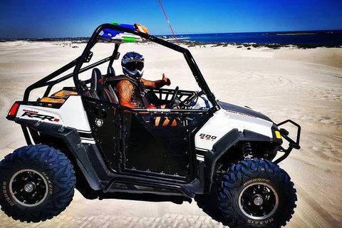Buggy, Quad Bike, Motocross And Sandboard Tour Lancelin, Sand Dunes - Restaurant Gold Coast 5