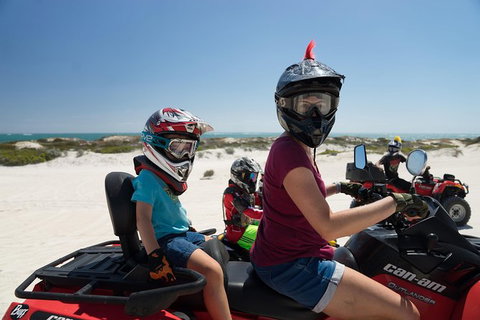 Buggy, Quad Bike, Motocross And Sandboard Tour Lancelin, Sand Dunes - Restaurant Gold Coast 3