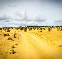 1 Day Pinnacles Wildlife  Sandboarding - Restaurant Gold Coast