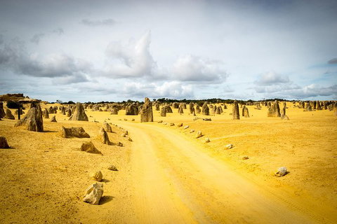 1 Day Pinnacles, Wildlife & Sandboarding - Restaurant Gold Coast 0