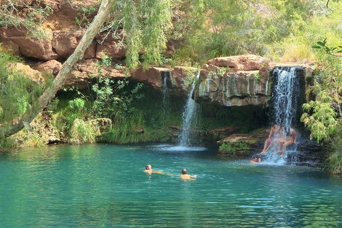 14 Day Perth To Broome Explorer : Return - Fully Accommodated - Restaurant Gold Coast 1