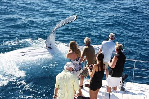 Half-Day Whale Watching Sunset Cruise From Broome - Restaurant Gold Coast 0