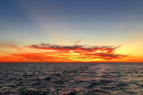 Half-Day Whale Watching Sunset Cruise From Broome - Restaurant Gold Coast 8