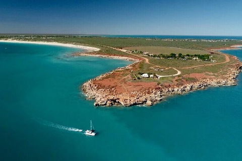 Half-Day Whale Watching Sunset Cruise From Broome - Restaurant Gold Coast 10