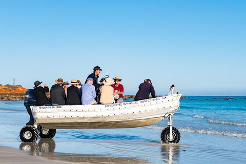 Half-Day Whale Watching Sunset Cruise From Broome - Restaurant Gold Coast 11