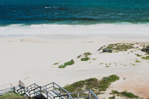 Yanchep & Lancelin - Wildlife, Cave And Sands - Restaurant Gold Coast 4