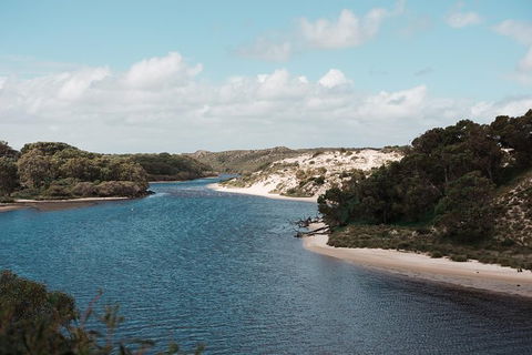 Yanchep & Lancelin - Wildlife, Cave And Sands - Restaurant Gold Coast 6