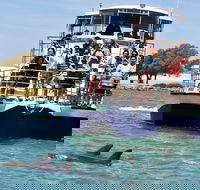 Mandurah Dolphin and Scenic Marine Cruise - Restaurant Gold Coast