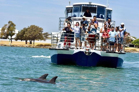 Mandurah Dolphin And Scenic Marine Cruise - Restaurant Gold Coast 0