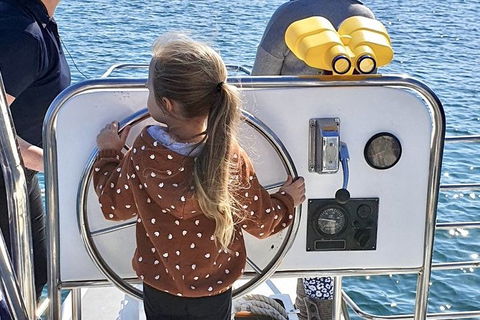 Mandurah Dolphin And Scenic Marine Cruise - Restaurant Gold Coast 10