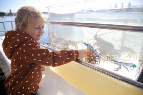 Mandurah Dolphin And Scenic Marine Cruise - Restaurant Gold Coast 5