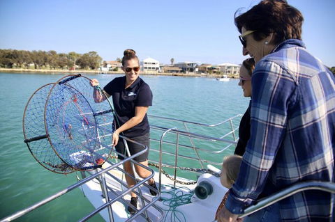 Mandurah Dolphin And Scenic Marine Cruise - Restaurant Gold Coast 16