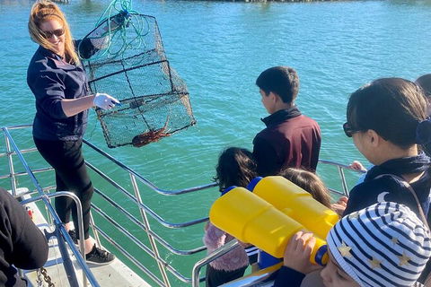 Mandurah Dolphin And Scenic Marine Cruise - Restaurant Gold Coast 18
