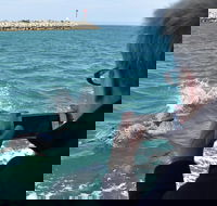Mandurah Dolphin Island Adventure - Restaurant Gold Coast