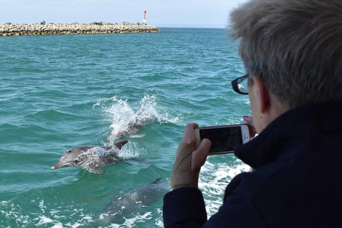 Mandurah Dolphin Island Adventure - Restaurant Gold Coast 0