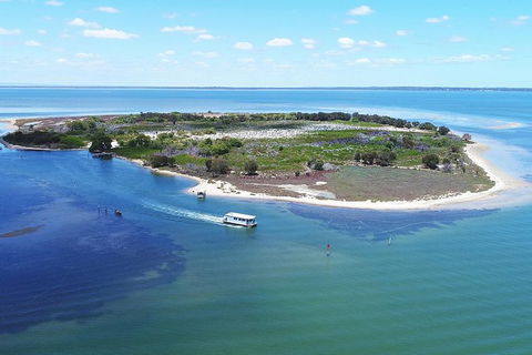 Mandurah Dolphin Island Adventure - Restaurant Gold Coast 8